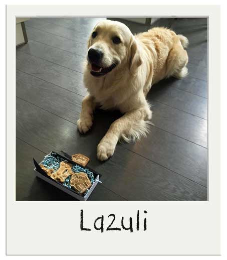 Bon anniversaire Lazuli :)